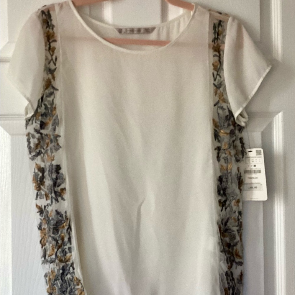 Zara top with metallic embroidery